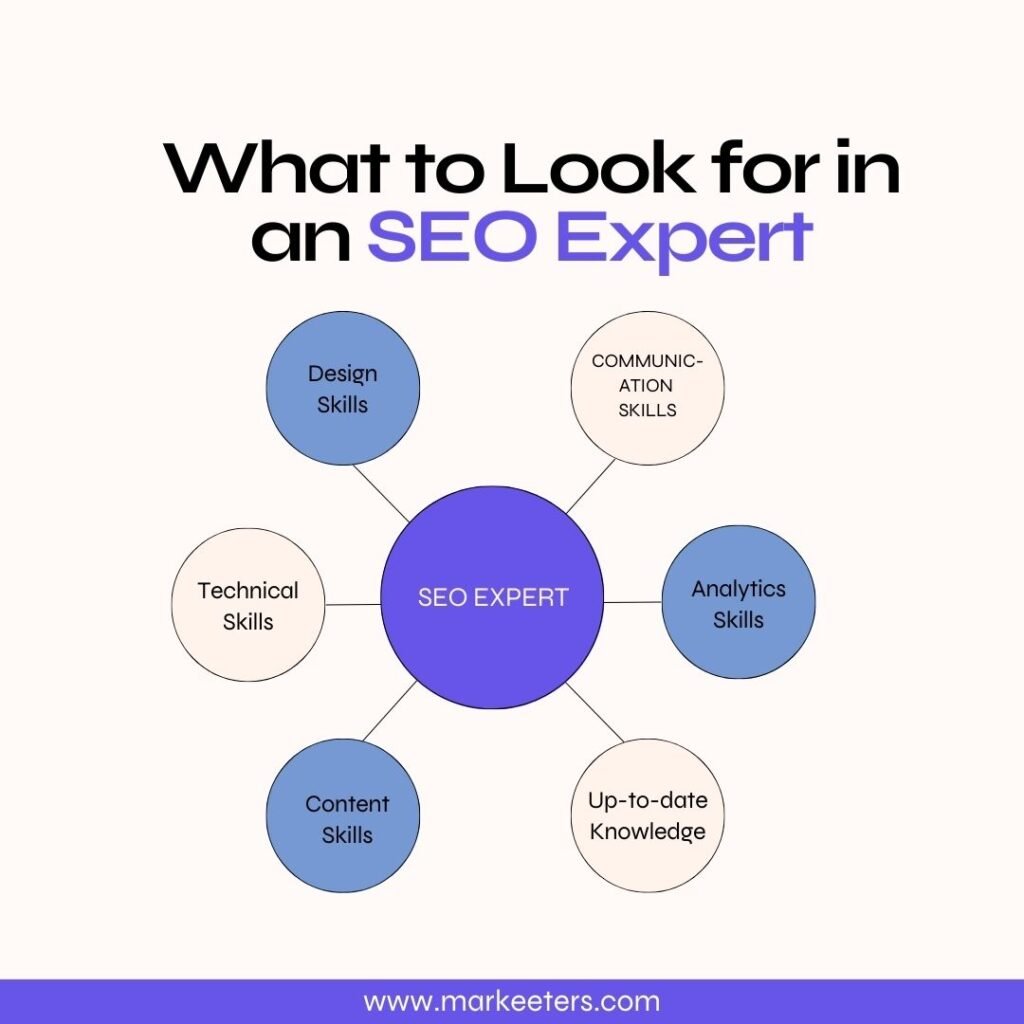 What to Look for in an SEO Expert