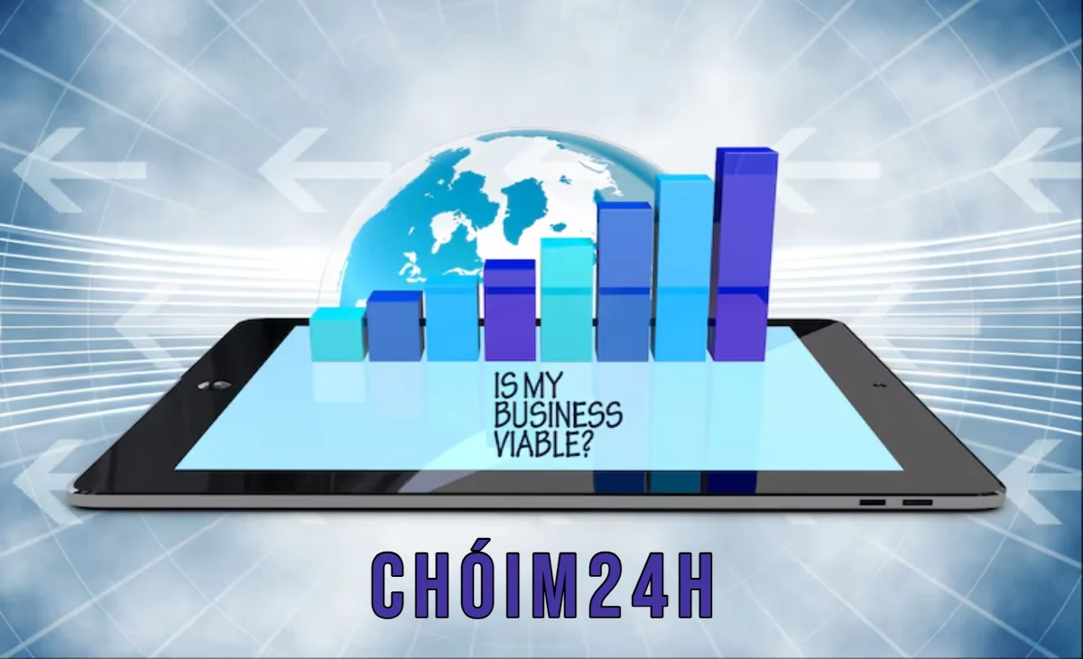 Chóim24h: A Look at Their Commitment to Quality